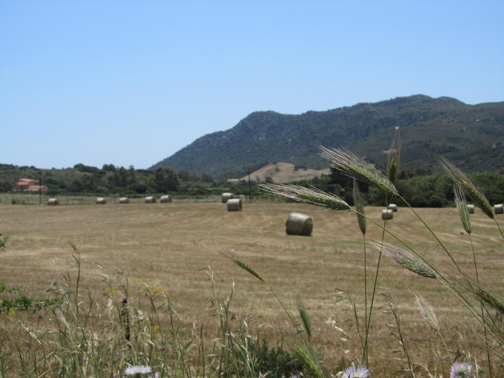 Agriturismo Sa Tiria Теулада Екстериор снимка